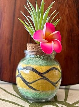 カラーサンドアート Amazon.co.jp: カラーサンドアート パイナップル サンドアート